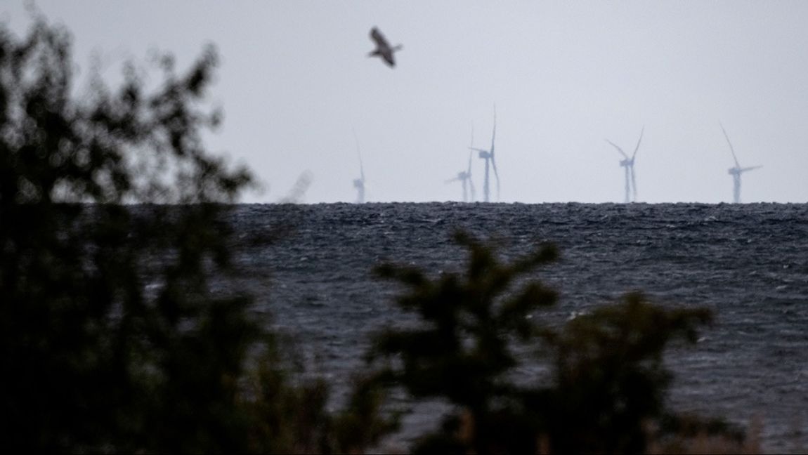 Den danska delen av vindkraften är på plats. Foto: Johan Nilsson/TT