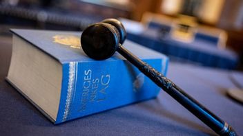 Foto: Johan Nilsson/TT.