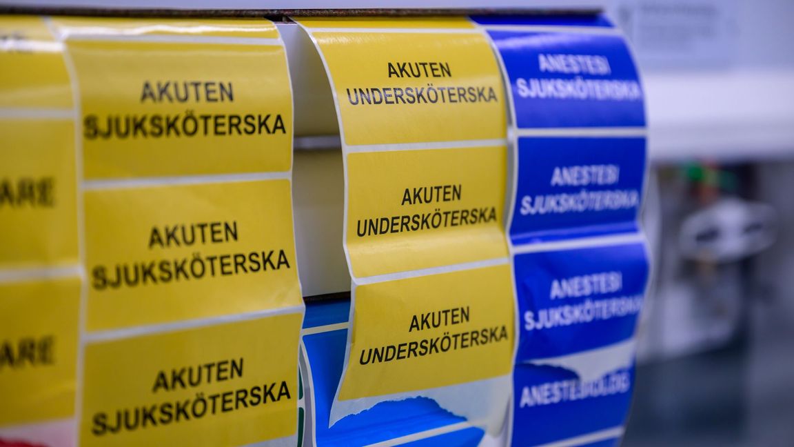  Foto: Magnus Lejhall / TT