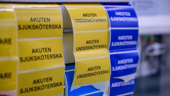  Foto: Magnus Lejhall / TT