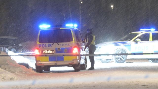 Lövstalöt hade tidigare kameraövervakats av polisen. Foto: Fredrik Sandberg/TT
