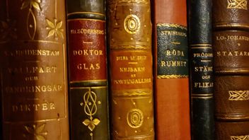 Klassiker i bokhyllan. Foto: Dan Korn