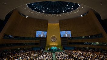 FN:s generalförsamling i New York i USA. Foto: Henrik Montgomery / TT