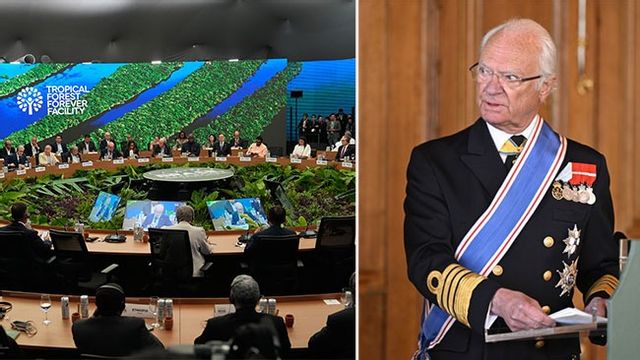 Bild: AP Photo/Fernando Llano/Jessica Gow/TT 