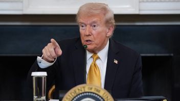 Donald Trump nämns som exempel på folkvalda som fattar beslut om könsdefinitioner. Foto: Evan Vucci/AP/TT.