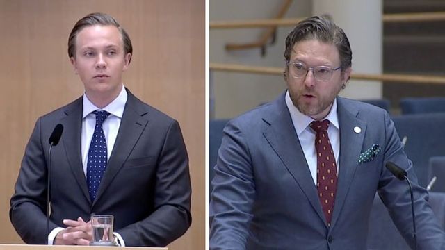 Foto: Skärmbild Youtube/Skärmbild Sveriges Riksdag. 