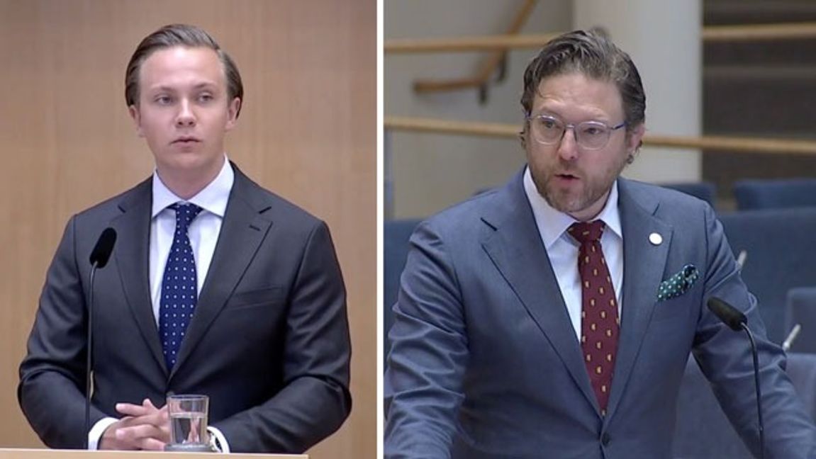 Foto: Skärmbild Youtube/Skärmbild Sveriges Riksdag.