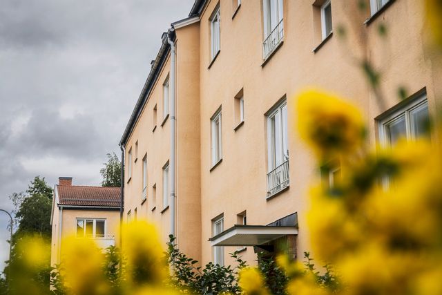 Antalet hushåll som får bostadsbidrag har sjunkit rejält de senaste åren. Arkivbild. Foto: Judit Nilsson/SvD/TT