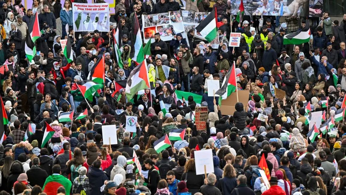 Från lördagens demonstration för Palestina på Sergels torg i Stockholm Foto: Henry Montgomery/TT