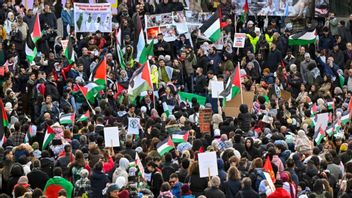 Från lördagens demonstration för Palestina på Sergels torg i Stockholm Foto: Henry Montgomery/TT