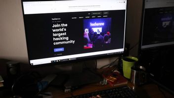 Genrebild. Foto: TT/ (AP Photo/Tatan Syuflana)