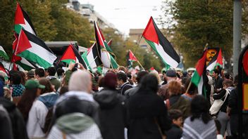 Foto: Björn Larsson Rosvall/TT