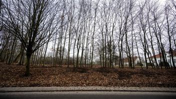 Två personer har hittats döda i en bostad i Sala. Foto: Johan Nilsson/TT