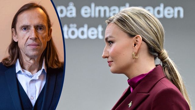 Skogkär: Innan vindkraftsfällan slår igen