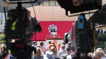 Socialdemokraterna har flest medlemmar men partiet har haft ett stort medlemstapp de senaste decennierna. Foto: Adam Ihse/TT