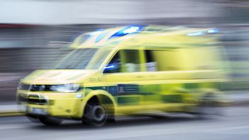 Ett barn har blivit bitet i ansiktet av en hund i Skövde. Arkivbild. Foto: STINA STJERNKVIST/TT