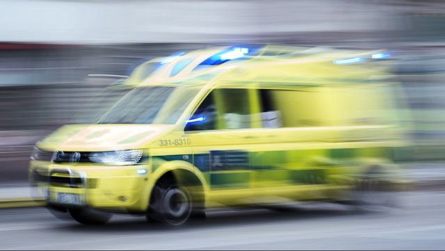 Ett barn har blivit bitet i ansiktet av en hund i Skövde. Arkivbild. Foto: STINA STJERNKVIST/TT