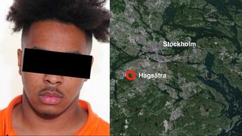 Multikriminell misstänks för försök till mord. Foto: Polisen/Google Maps