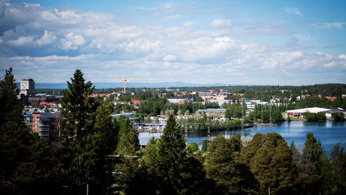 Piteå i Norrbottens län är den bästa kommunen för klimatförändringarna. Foto: Erik Simander/TT.