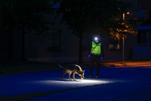 I slutet av juli blev en man i 20-årsåldern skjuten i Skurup. Nu döms en 21-årig man till nio års fängelse för mordförsök. Arkivbild. Andreas Hillergren/TT