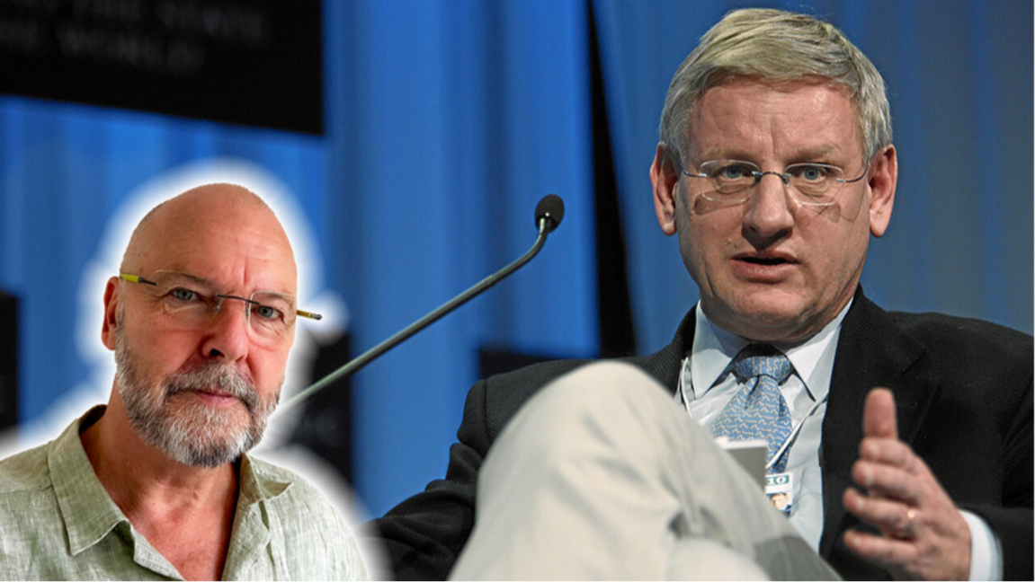 Den iranska regimen skulle inte skada en fluga. Så åtminstone flugorna är säkra. Foto: Remy Steinegger, CC BY-SA 2.0, via Wikimedia Commons