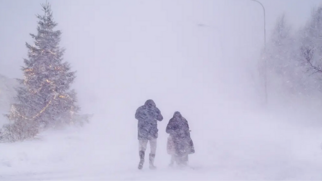 Stormen Johannes drabbade delar av Sverige särskilt hårt. Foto: Sam Hedman/TT