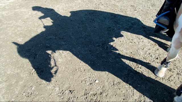 Arkivbild. Foto: Gorm Kallestad/NTB/TT