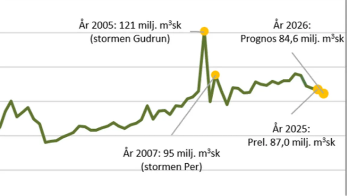 Bild av: Skogsstyrelsen.