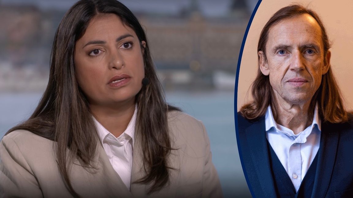 Mehrnoosh Dadgostar (V). Foto: Skärmavbild från SVT.