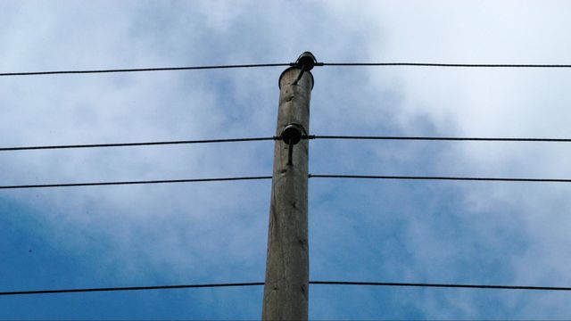 Genrebild. Mellan 60-70 telefonstolpar hade lagts i väntan på bortforsling men när personalen på Skanova återvände till platsen var de borta. Foto: Hasse Holmberg/TT