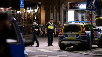 Arkivbild. Foto: Johan Nilsson/TT  