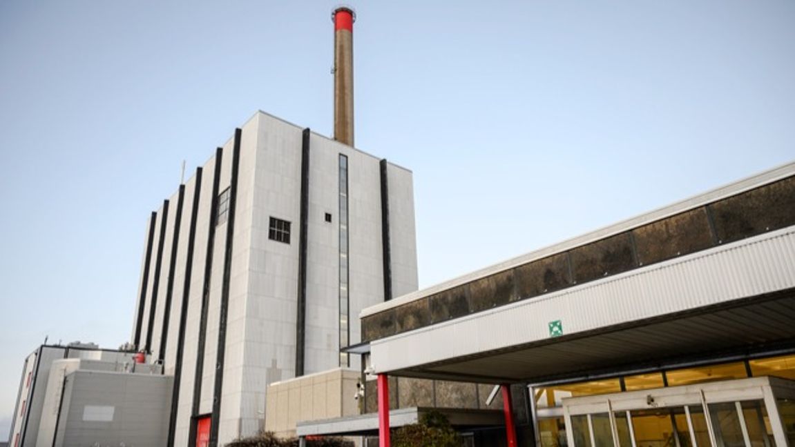 Ringhals. Foto: Björn Larsson Rosvall/TT.