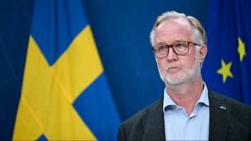 Förtroendet för Johan Pehrson växer. Foto: Pontus Lundahl/TT