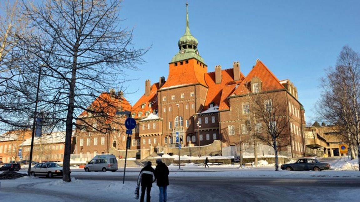 Foto: JANERIK HENRIKSSON/TT