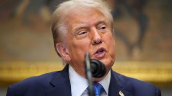 USA:s president Donald Trump. Foto: Mark Schiefelbein/AP/TT