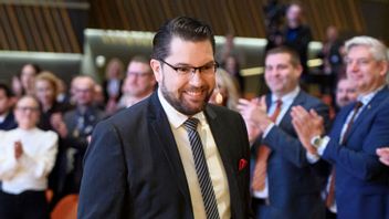 Jimmie Åkesson (SD) på Sverigedemokraternas landsdagar. Foto: Tommy Pedersen/TT