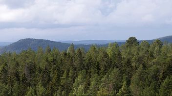  Foto: Fredrik Sandberg/TT