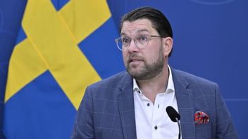 Jimmie Åkesson (SD). Foto: Christine Olsson/TT.