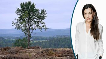 Foto: Janerik Henriksson/TT