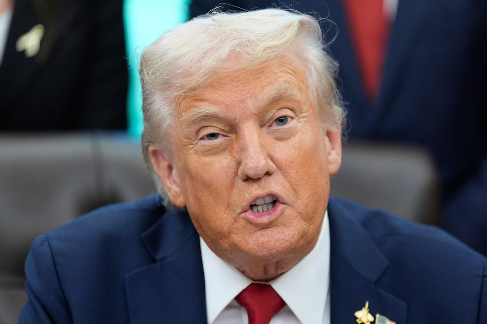 President Donald Trump. Arkivbild. Alex Brandon/AP/TT