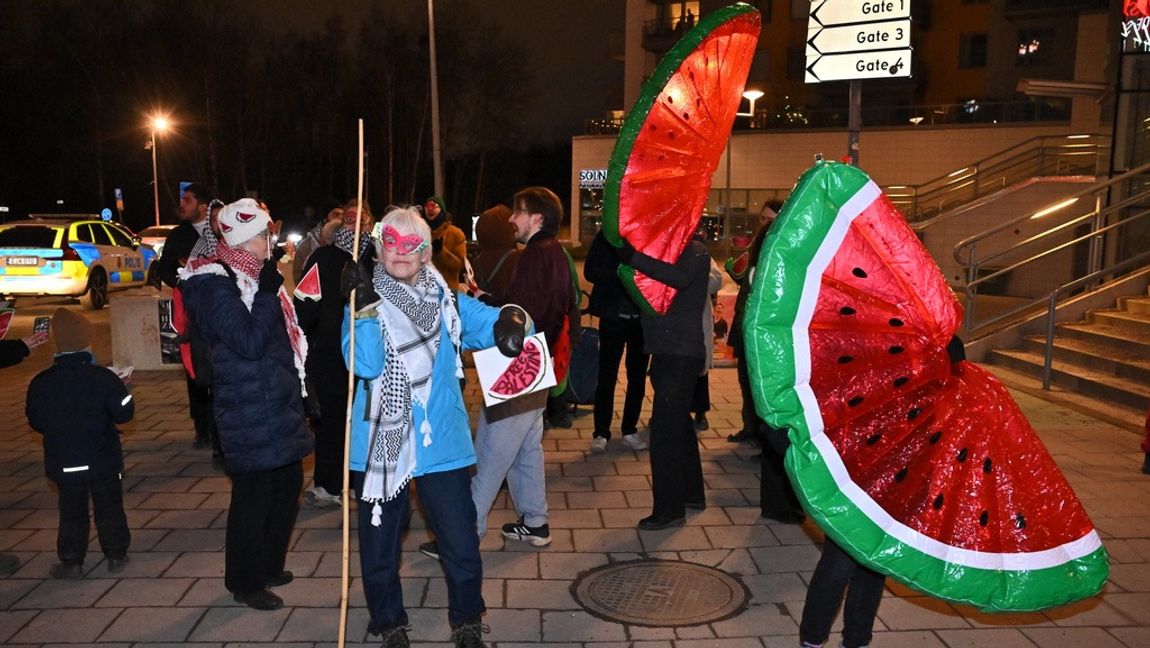 Melonen har kommit att bli en symbol för Palestina. Inte förvånande fokuserar fler på det gröna skalet än de bruna kärnorna. Foto: Claudio Bresciani/TT