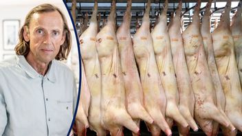 Vem erbjuder det fetaste valfäsket? Kampen är igång.Foto: Johan Nilsson/TT