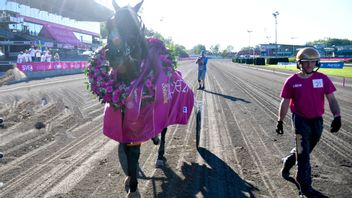 På söndagen avgörs Sveriges största travlopp, Elitloppet på Solvalla. Foto: Pontus Lundahl/TT