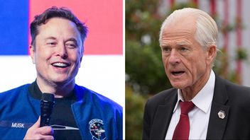 Elon Musk är inte imponerad av Peter Navarro, till höger. Enligt Musk är Navarro efterbliven. Foto: AP