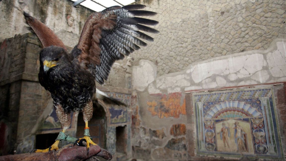 Interiören av en byggnad i Herculaneum som begravdes i samband med Vesuvius utbrott år 79 e. Kr. Foto: Salvatore Laporta/AP/TT