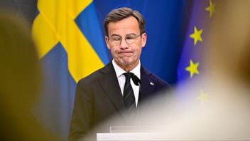 Försiktig när det krävs handlingskraft, handlingskraftig när det krävs försiktighet. Foto: Magnus Lejhall/TT