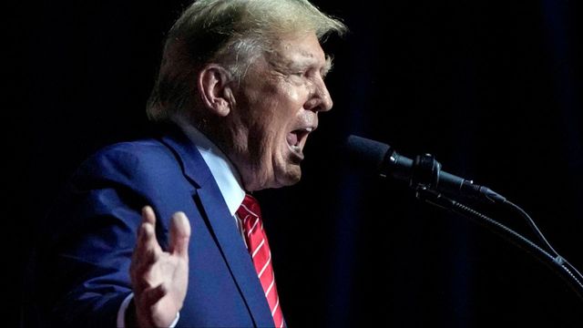 USA:s tidigare president Donald Trump. Arkivbild. Foto: Mike Stewart/AP/TT
