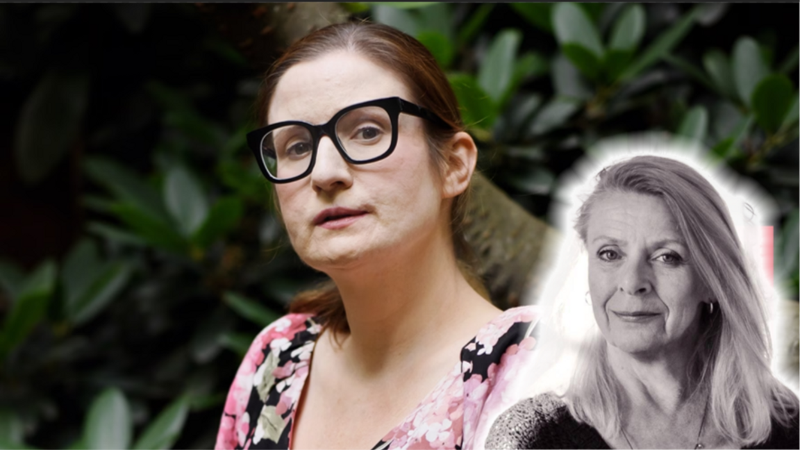 Sveriges sista försvarslinje mot Jimmie ”Trump” Åkesson. Foto: SVT / Nyheter Direkt