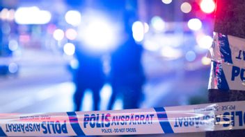 Arkivbild. Foto: Johan Nilsson / TT