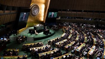 Arkivbild Foto: Pontus Lundahl/TT